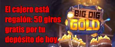 Carga Diaria